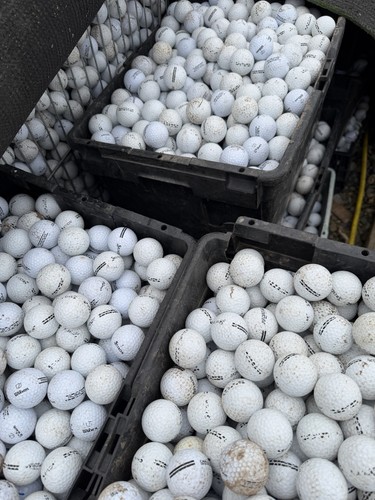 Driving range golf - driving,